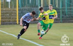 IMG_8446_wynik133