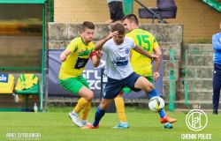 IMG_8252_wynik133